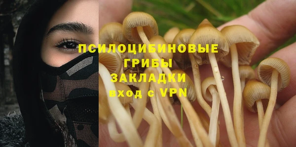 дживик Бородино
