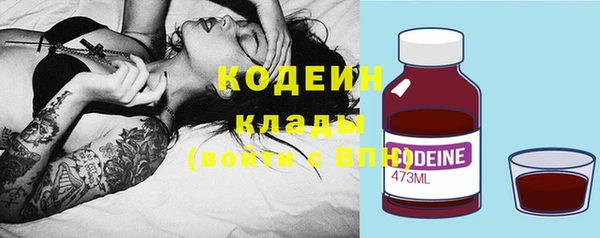 дживик Бородино