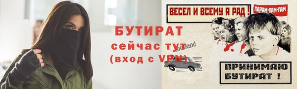 дживик Бородино