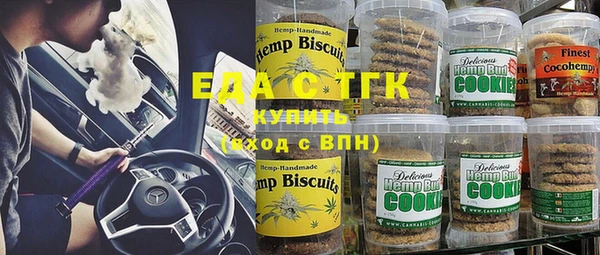 дживик Бородино