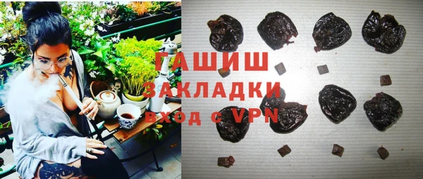 дживик Бородино