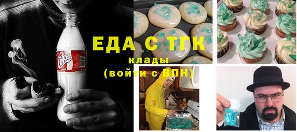дживик Бородино