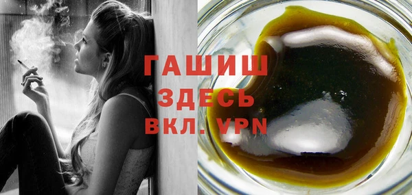 дживик Бородино