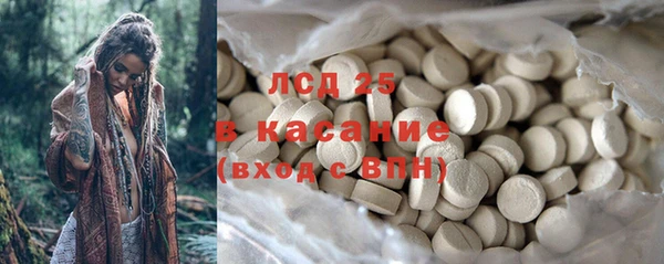 дживик Бородино