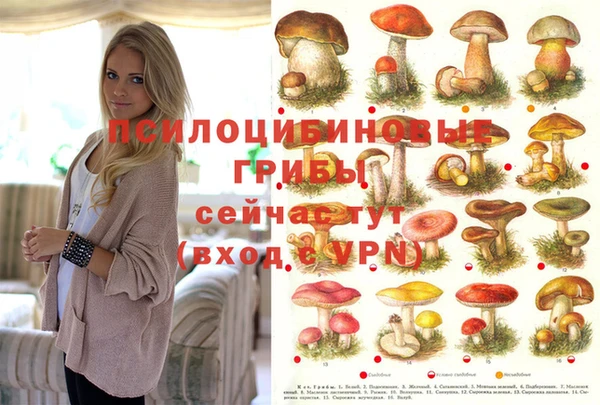 mix Бронницы