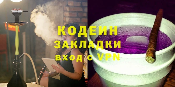 дживик Бородино