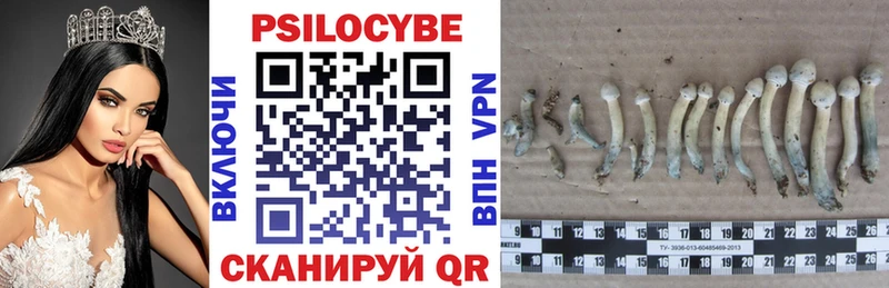 Псилоцибиновые грибы GOLDEN TEACHER  Купить где  Шацк 